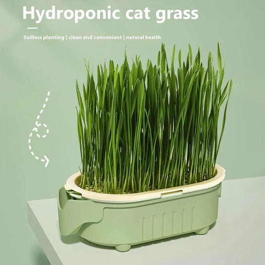 Organic Cat Grass Planter Kit With Wheat Seeds Hairball Relief Natural Digestive Aid Grow Your Own Cat Grass Bowl Set With Soil