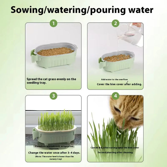 Organic Cat Grass Planter Kit With Wheat Seeds Hairball Relief Natural Digestive Aid Grow Your Own Cat Grass Bowl Set With Soil